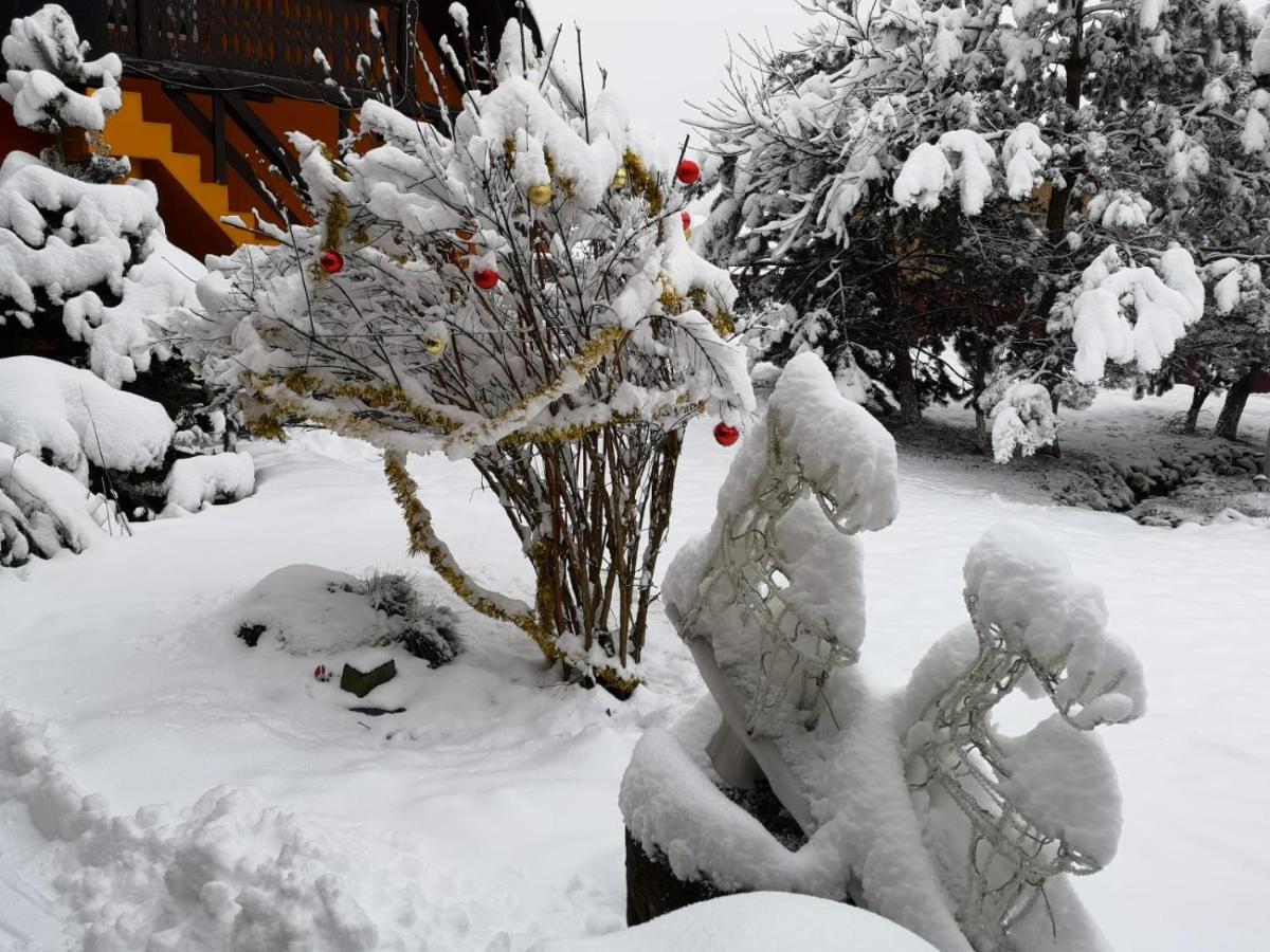 Eden Garden Sovata Villa ภายนอก รูปภาพ